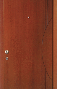 ED-100 Παντογράφου – Θωρακισμένη Πόρτα Εισόδου